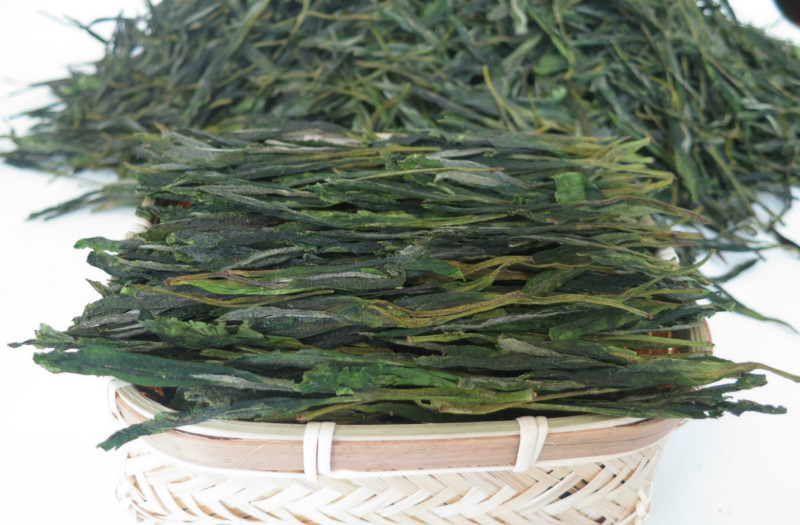 遵义市2015春茶|务川大叶茶|贵州绿茶厂家供应2015春茶|务川大叶茶|贵州绿茶