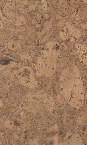 陕西软木地板葡萄牙软木地板CF084076