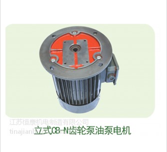 供应用于油泵配套电机的小型液压电机配CB-N立式液压电机图片