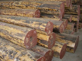 供应用于的青岛木材进口报关流程事项费用图片