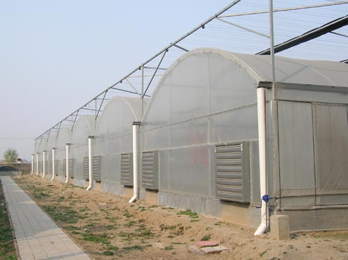 河南最专业的大棚河南最专业的大棚建设，中坤温室建设供应全国图片
