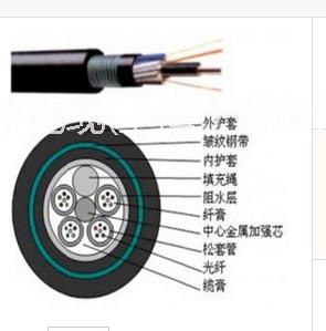 上海厂家直销供应光缆的GYTY53