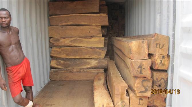 供应用于的清清远进口木材清关需要多少费用？图片