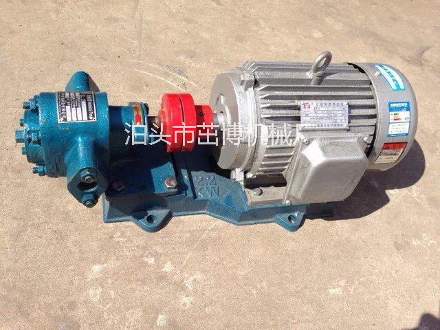 供应山东枣庄ZYB-18.3耐磨齿轮式树脂泵图片