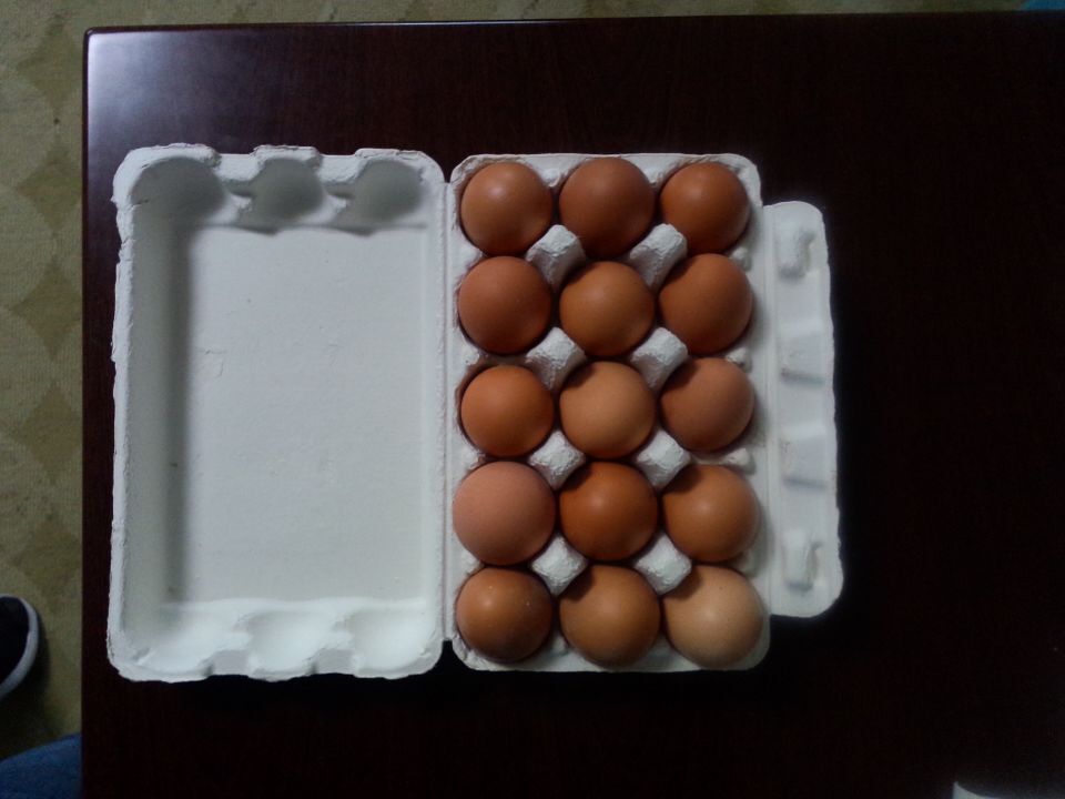 15枚鸡蛋托/鸡蛋盒内包装批发