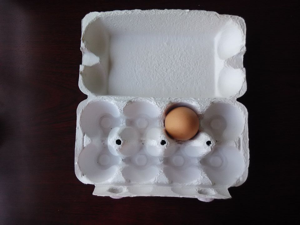 德州市8枚蛋托/鸡蛋盒包装厂家8枚蛋托/鸡蛋盒包装