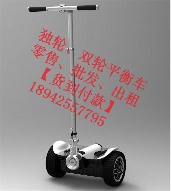 供应两轮平衡车diy长沙电动代步车图片