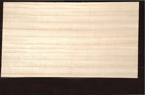 菏泽市高档桐木贴面板厂家供应用于家具的高档桐木贴面板