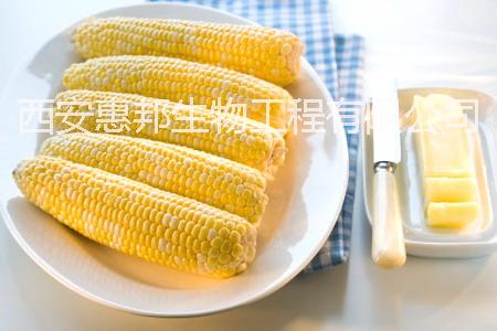 食品级天然玉米黄色素图片
