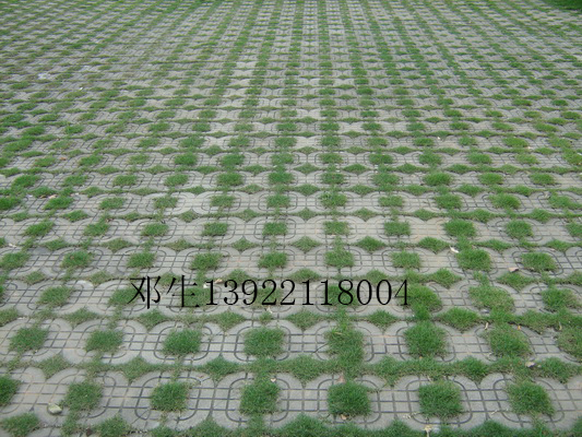 供应用于绿化的广州植草砖