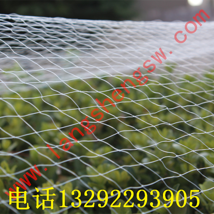 供应用于提高葡萄园产的供应环保白色防鸟网-葡萄园专用网