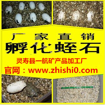 供应用于孵化的孵化蛭石建议订购厂家直销