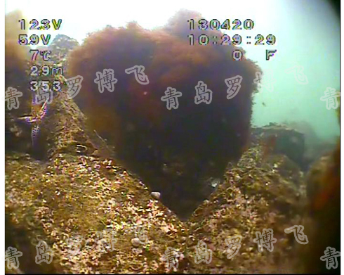 供应高清水下摄像机水下探测器价格高清水下摄像机水下探测器价格