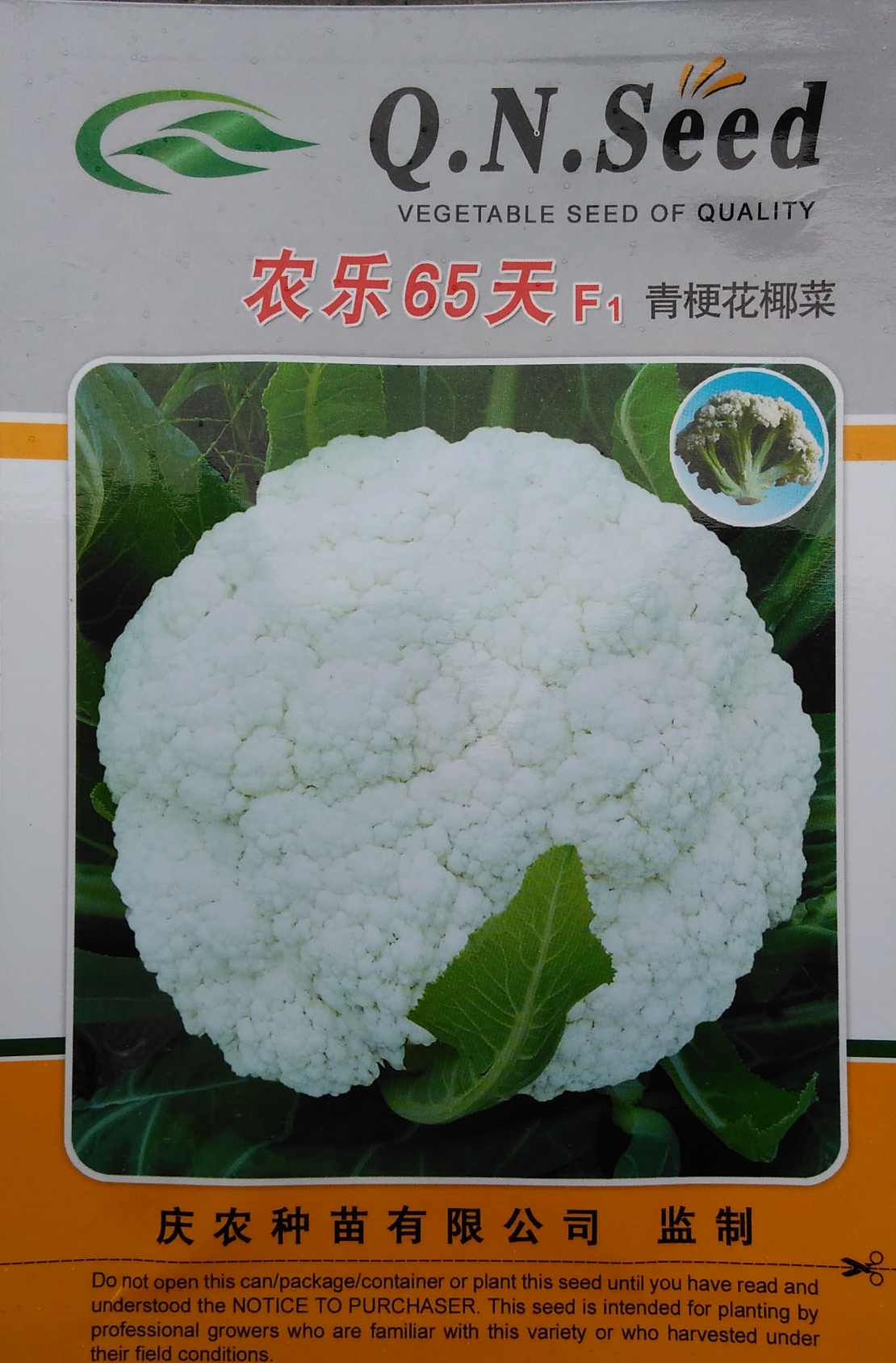 供应用于种植的农乐65天松花菜图片