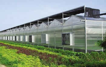 【山东潍坊最受欢迎的智能温室大棚建设】供应各种温室大棚建设