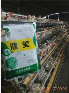 预防鸡拉稀益生菌厂家直销 健美禽