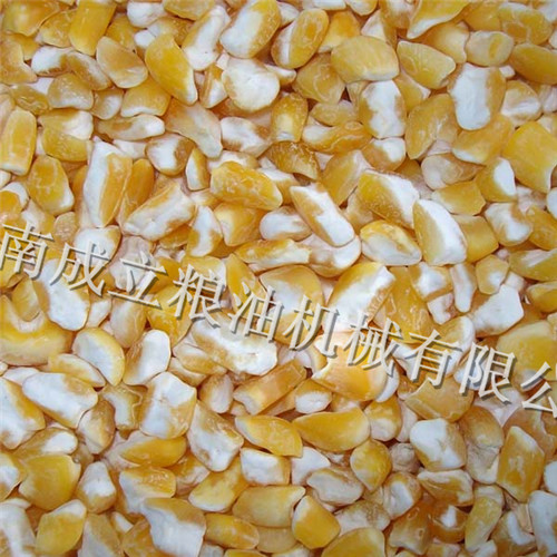 供应用于粮食加工的史上最好的精细玉米面的加工