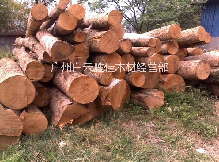 供应用于建筑木材|雕刻厂|木门厂的金丝楠木原木图片