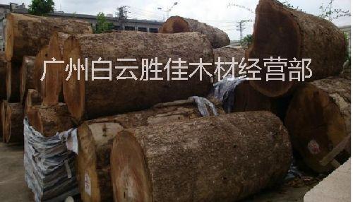 供应用于建筑|家具|工艺雕刻的缅甸金丝楠木原木