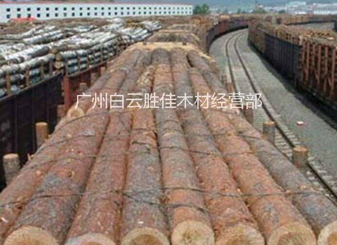 广州市花旗松原木厂家供应用于建筑|家具|工艺雕刻的花旗松原木