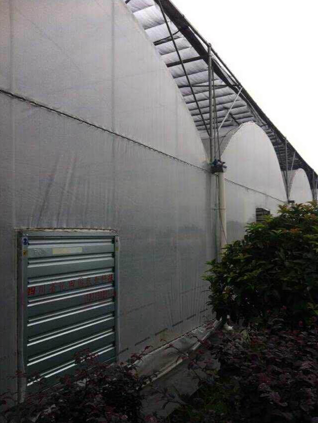 供应用于蔬菜种植的连栋大棚 带外遮阳+湿帘风机 用于种植大棚 养殖大棚图片