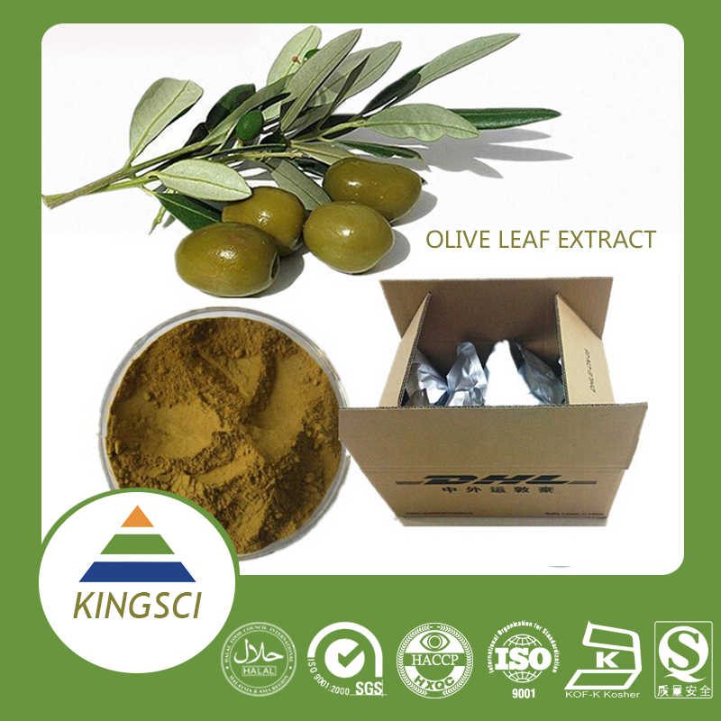 供应用于医药化妆品的厂家热销橄榄叶提取物橄榄苦甙图片