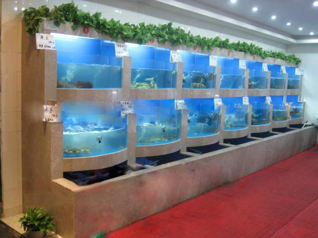 供应酒店海鲜鱼池定做，酒店海鲜池设计