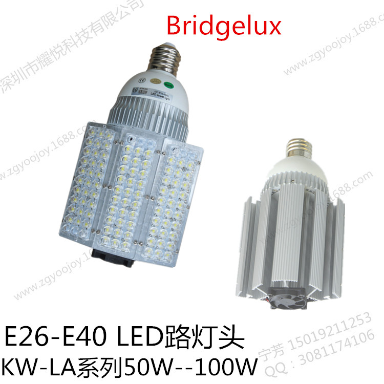 供应50W 60W 80W 100W E40 LED路灯