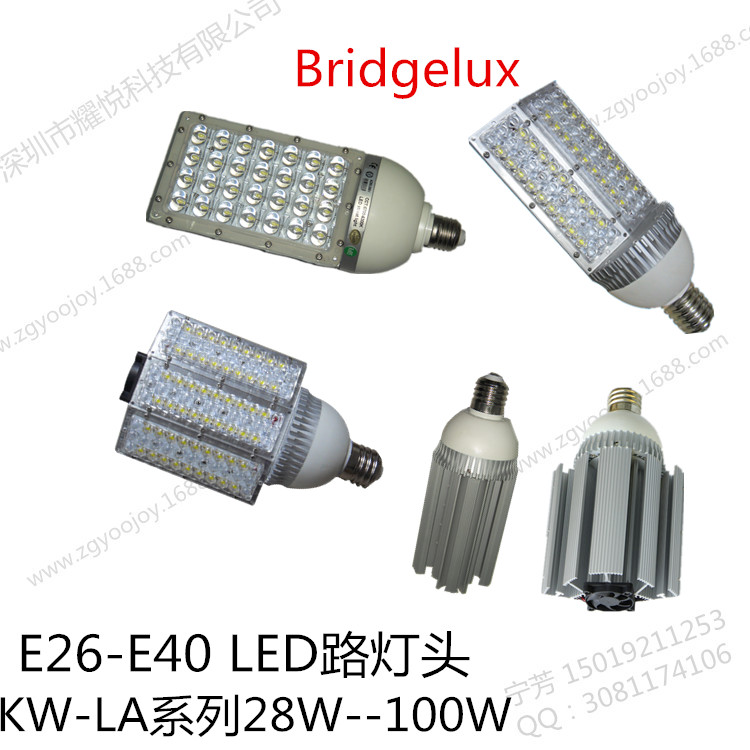 供应50W 60W 80W 100W E40 LED路灯