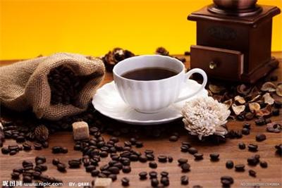 青岛印度尼西亚咖啡进口|马来西亚咖啡报关|古巴咖啡代理图片