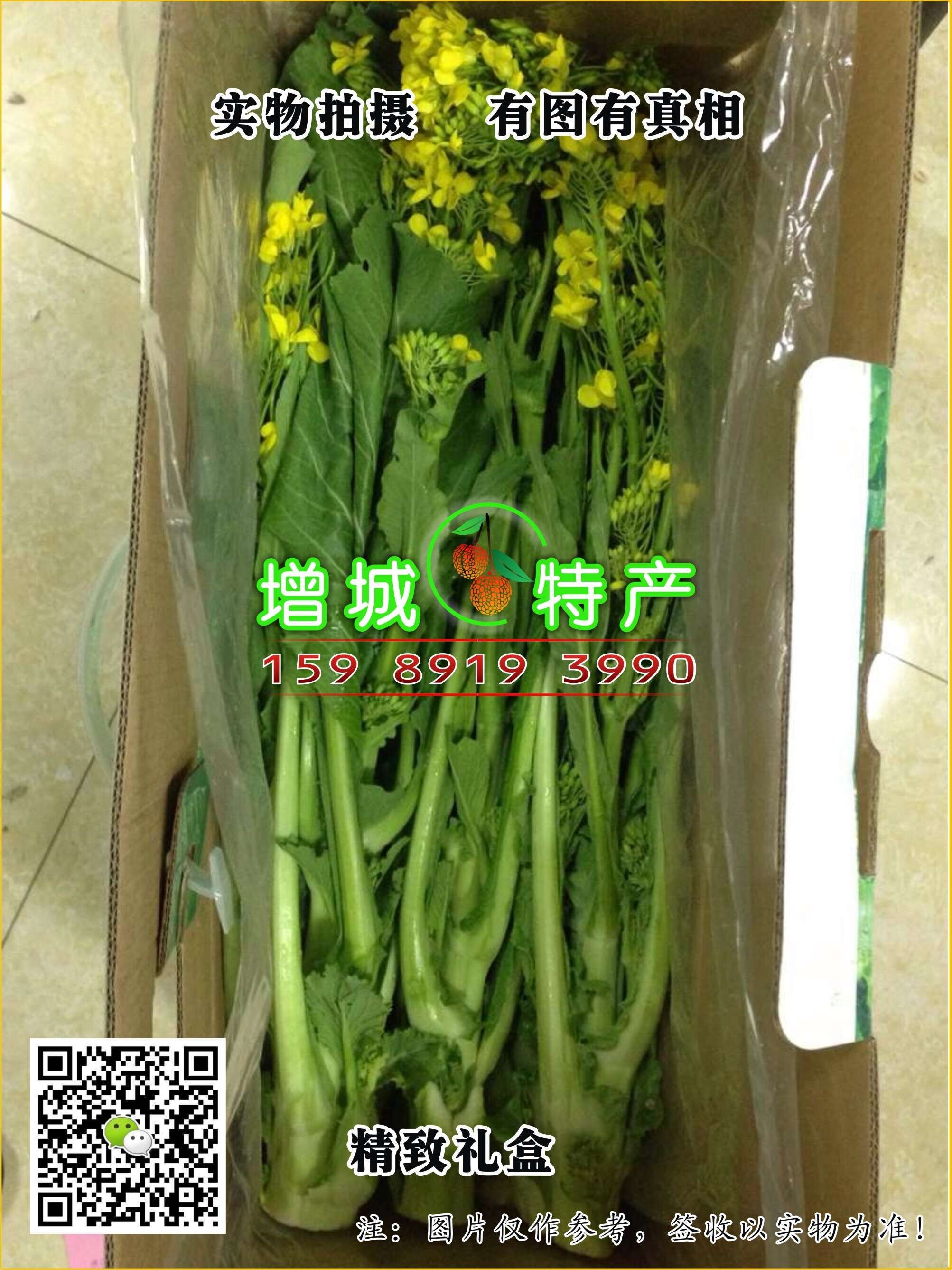广州市增城迟菜心烹饪方法厂家供应用于餐饮的增城迟菜心烹饪方法