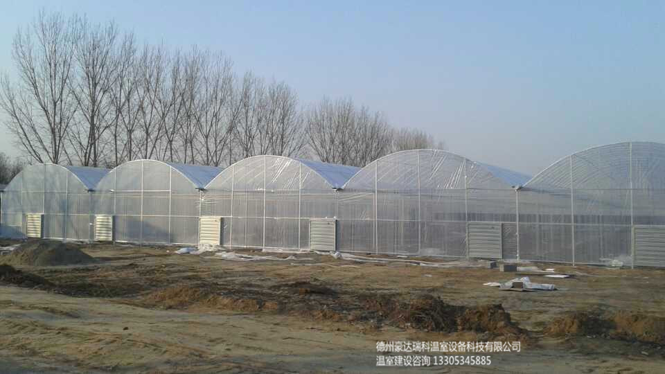 供应用于育苗 种植 |养殖 观光的温室大棚 生态餐厅 玻璃温室图片