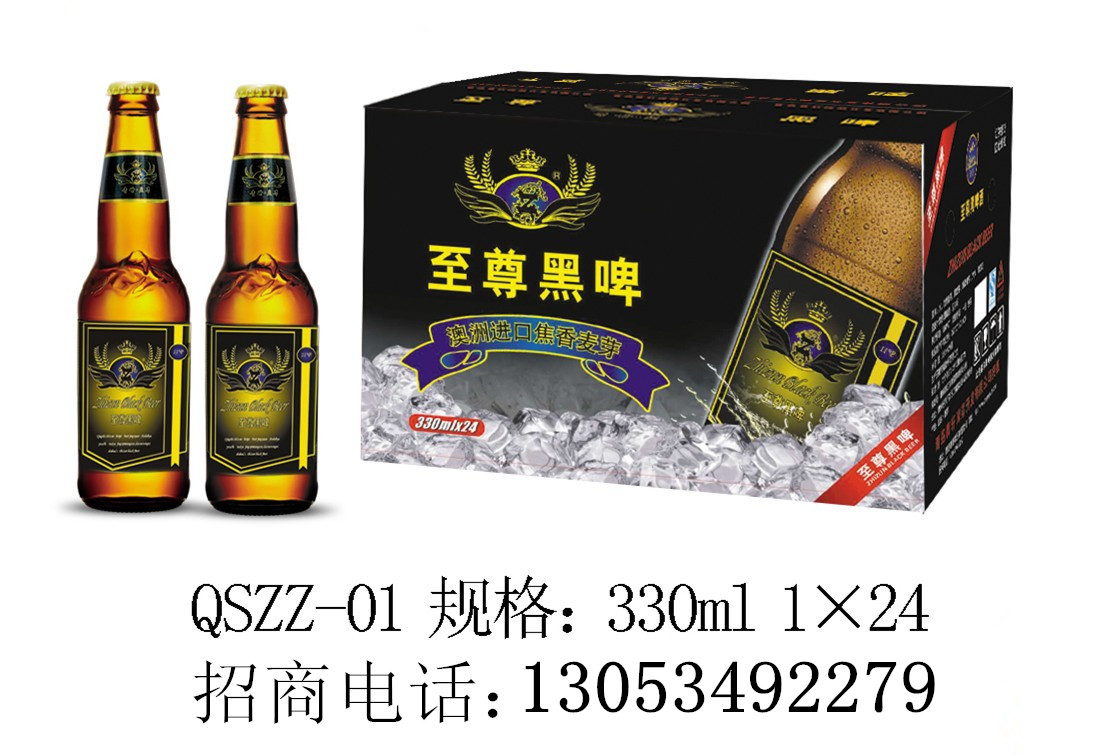 供应价位低的箱装啤酒招商诚招代13053492279张