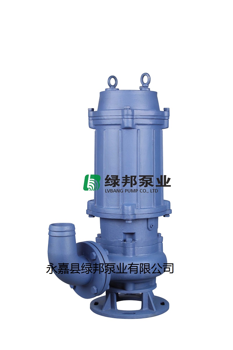 供应25LW8-22-1.1管道立式无堵塞排污泵 高效节能 厂家直销