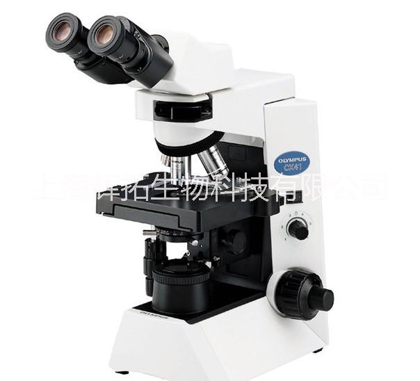 CX31生物显微镜批发