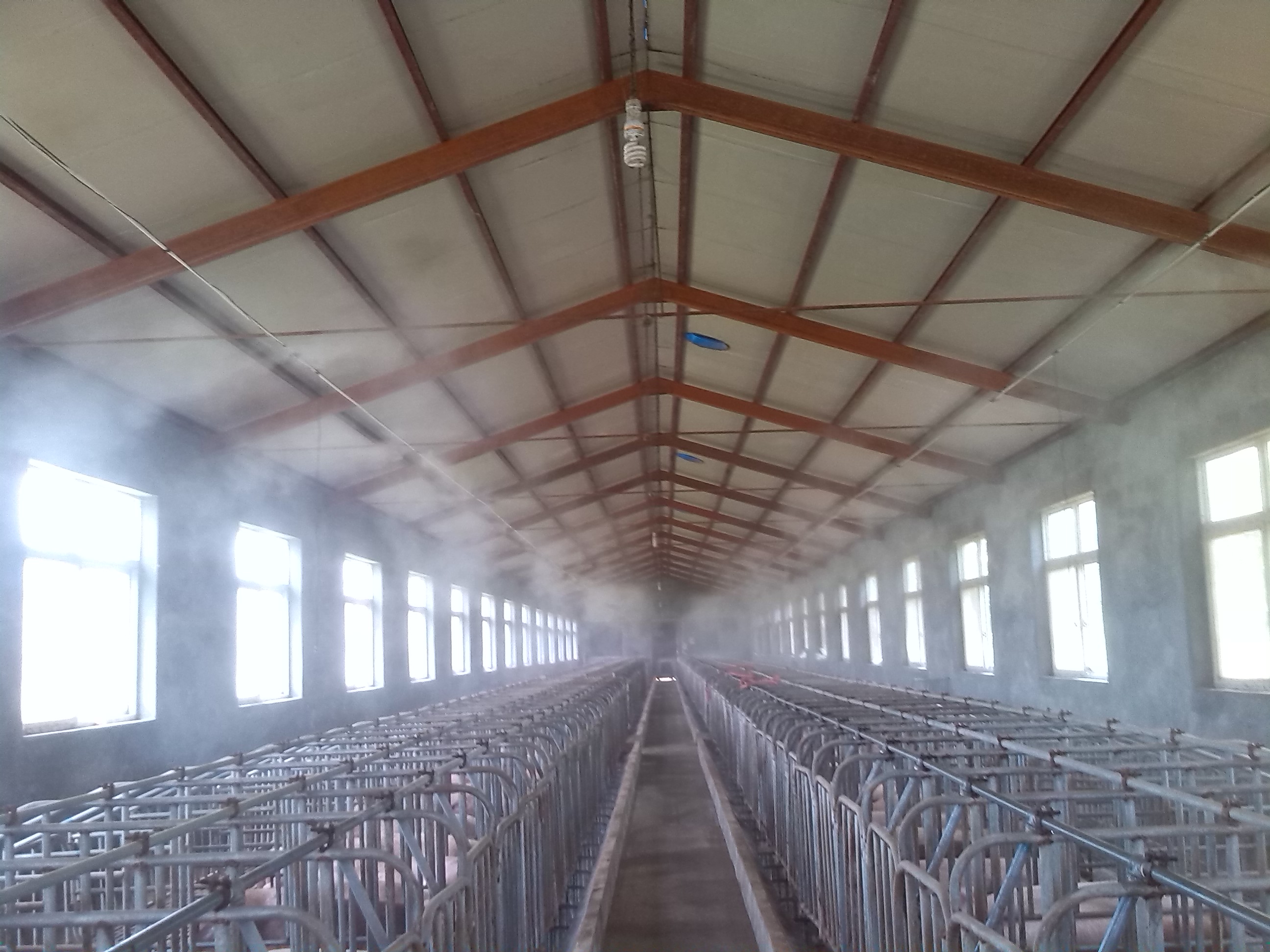 湖羊养殖消毒设备|养殖杀菌喷雾批发