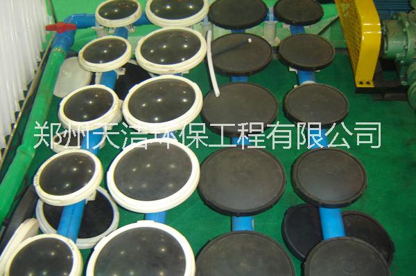 厂家供应用于污水净化的膜片式微孔曝气器图片