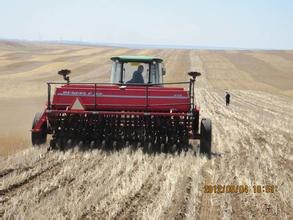 供应供应牵引式24行圆盘小麦施肥播种机