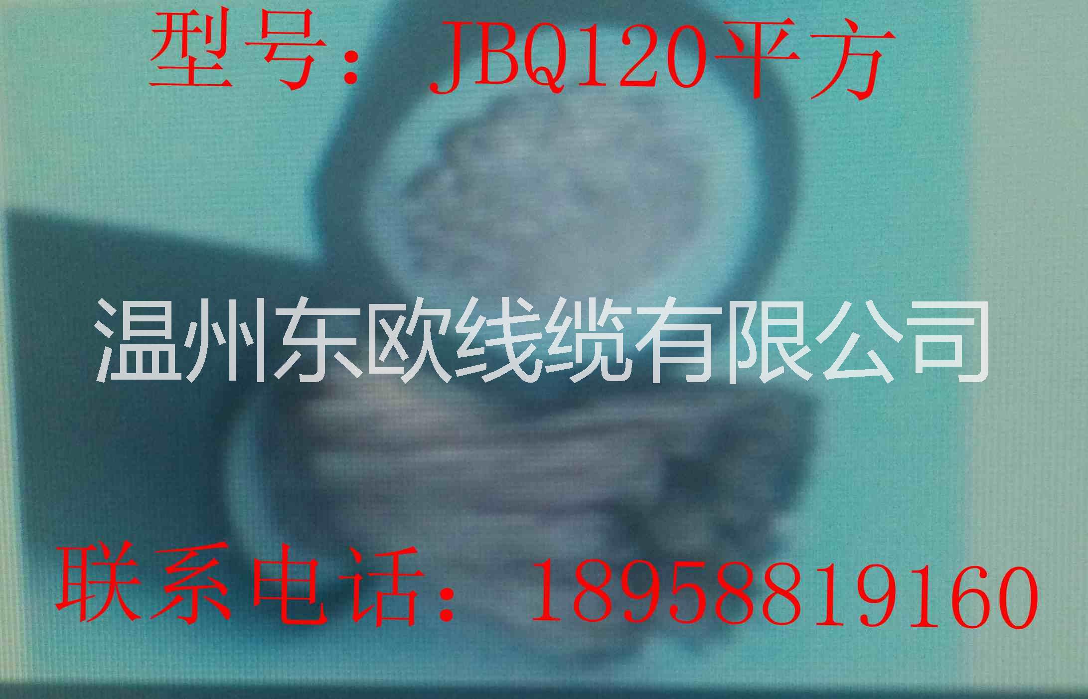 jbq（jxn）120mm电机引接线图片