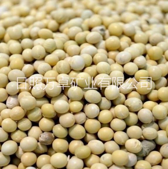供应用于豆制品的青岛港进口美国大豆价格