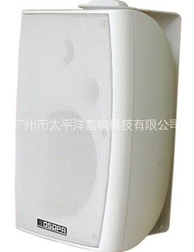 DSP6062B/W 壁挂音箱批发