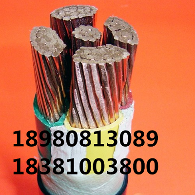 供应用于通讯的四川电缆供应商1mm平方*7芯RVVP线图片