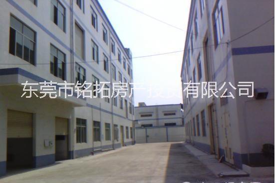林村太阳城标准厂房1-3楼总面积360批发