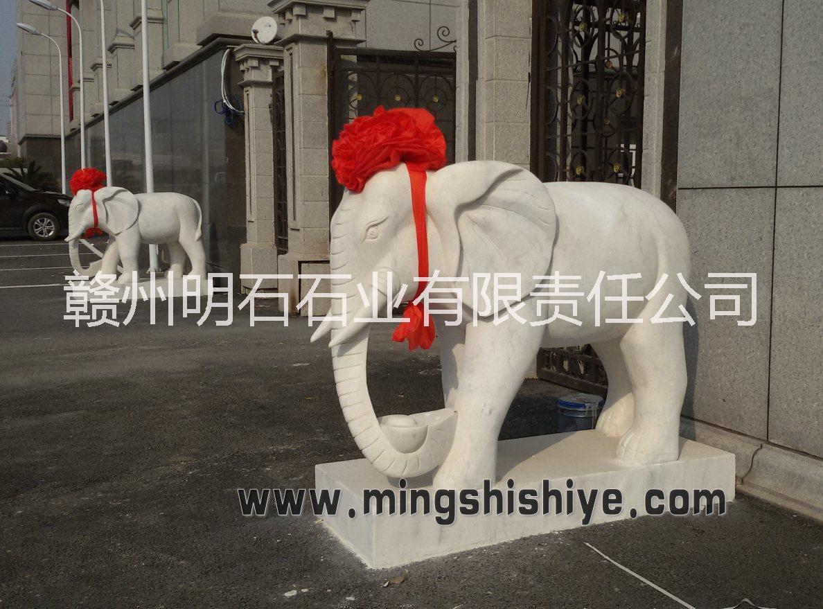 供应汉白玉石雕大象/赣州石雕大象厂家/赣州石狮子价格图片