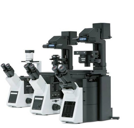 供应倒置荧光显微镜|进口荧光显微镜|IX73倒置荧光显微镜日本奥林巴斯全国代理现货
