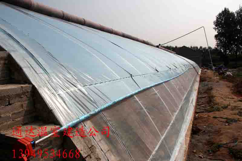 供应用于的高效节能日光温室的特点 日光温室