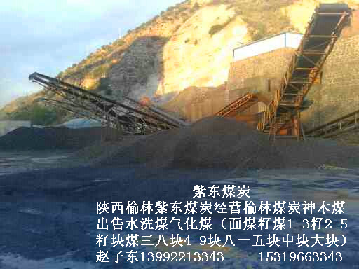 供应用于工业的出售煤炭陕西神木老张沟五二气化煤面煤二五籽煤三八块煤中块大块煤出售