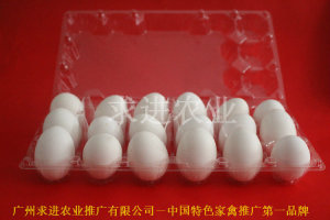 塑料鸡蛋盒价格塑料鸡蛋盒批发塑料鸡蛋盒厂家图片