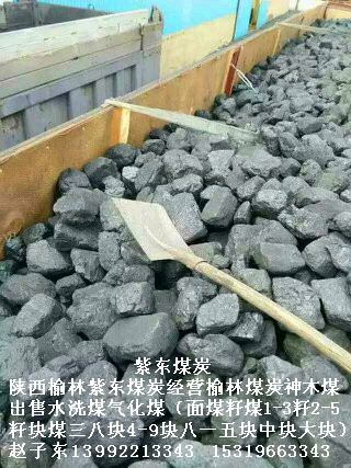 供应用于工业的出售煤炭陕西神木老张沟五二气化煤面煤二五籽煤三八块煤中块大块煤出售