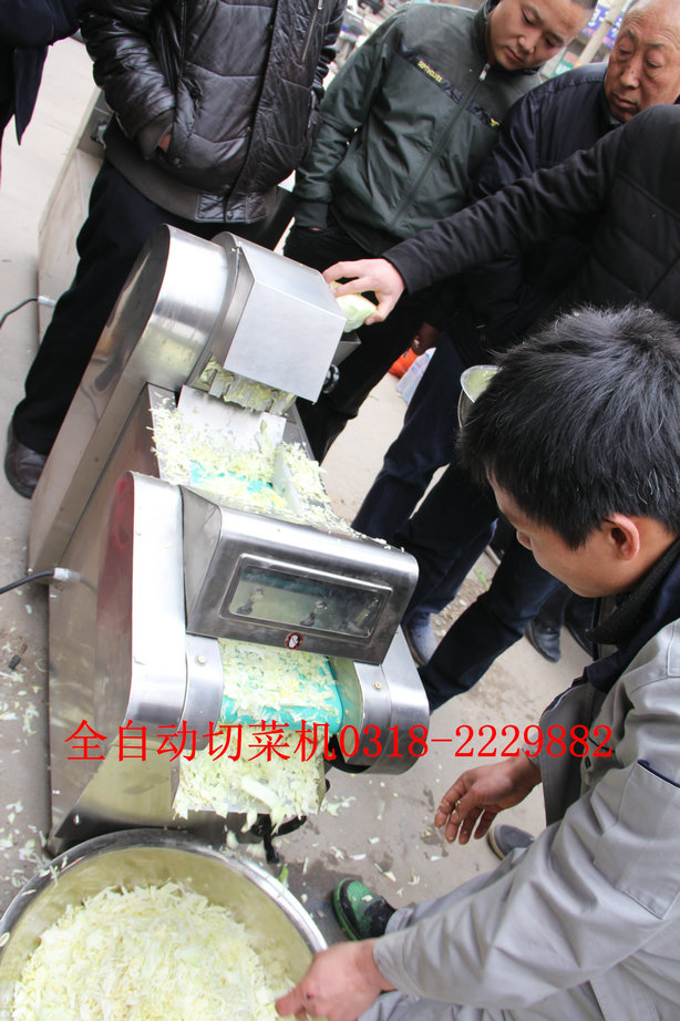 供应多功能切菜机 切韭菜的机器 衡水660型切菜机厂家